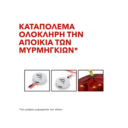 RAID ΔΟΛΩΜΑ