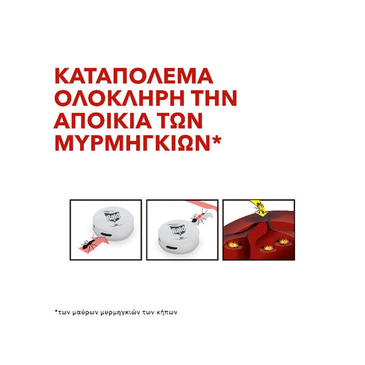RAID ΔΟΛΩΜΑ