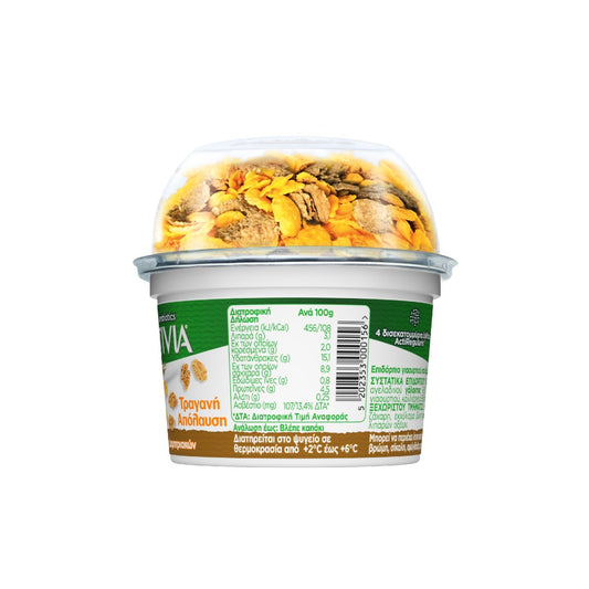 ACTIVIA Τραγανή Απόλαυση
